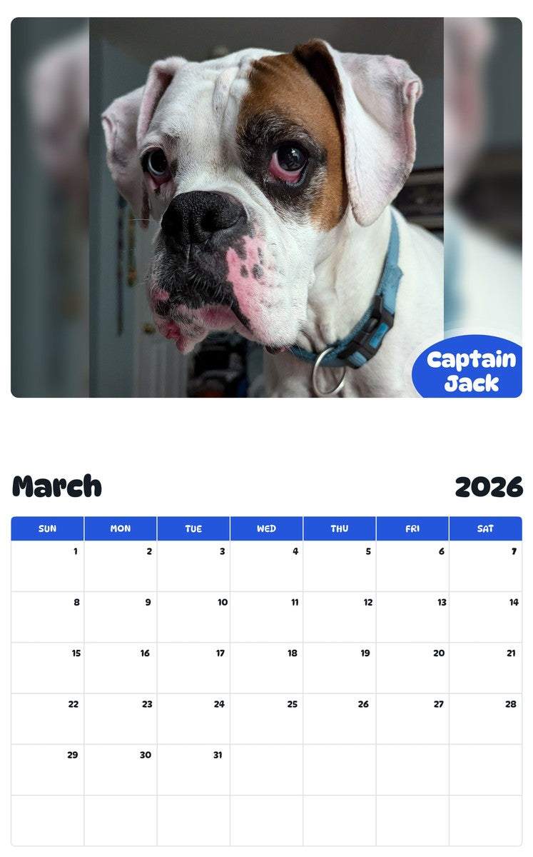 November 2025 - October 2026 Captain Jack - Pawidols Pet Calendar