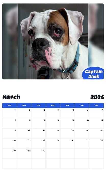 November 2025 - October 2026 Captain Jack - Pawidols Pet Calendar