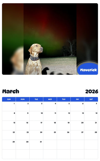 November 2025 - October 2026 Maverick - Pawidols Pet Calendar