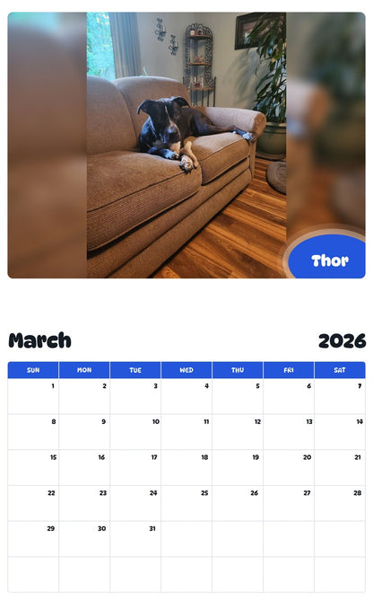 November 2025 - October 2026 Thor - Pawidols Pet Calendar