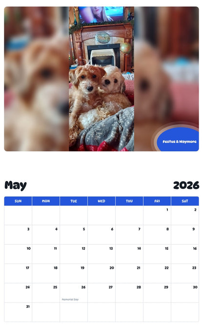 2026 - 2027 Festus & Waymore - Pawidols Pet Calendar