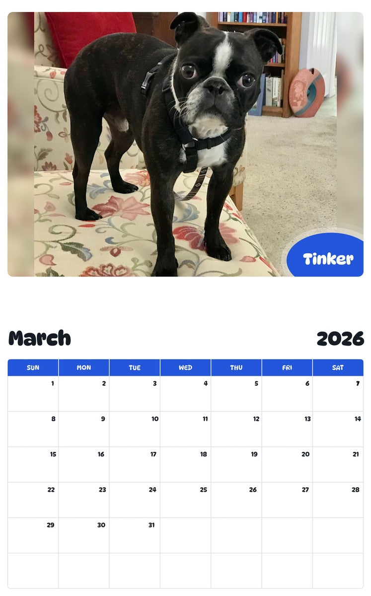 November 2025 - October 2026 Tinker - Pawidols Pet Calendar