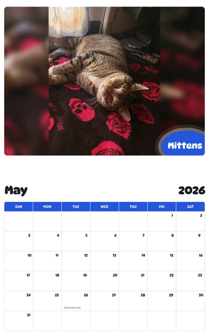 2026 - 2027 Mittens - Pawidols Pet Calendar