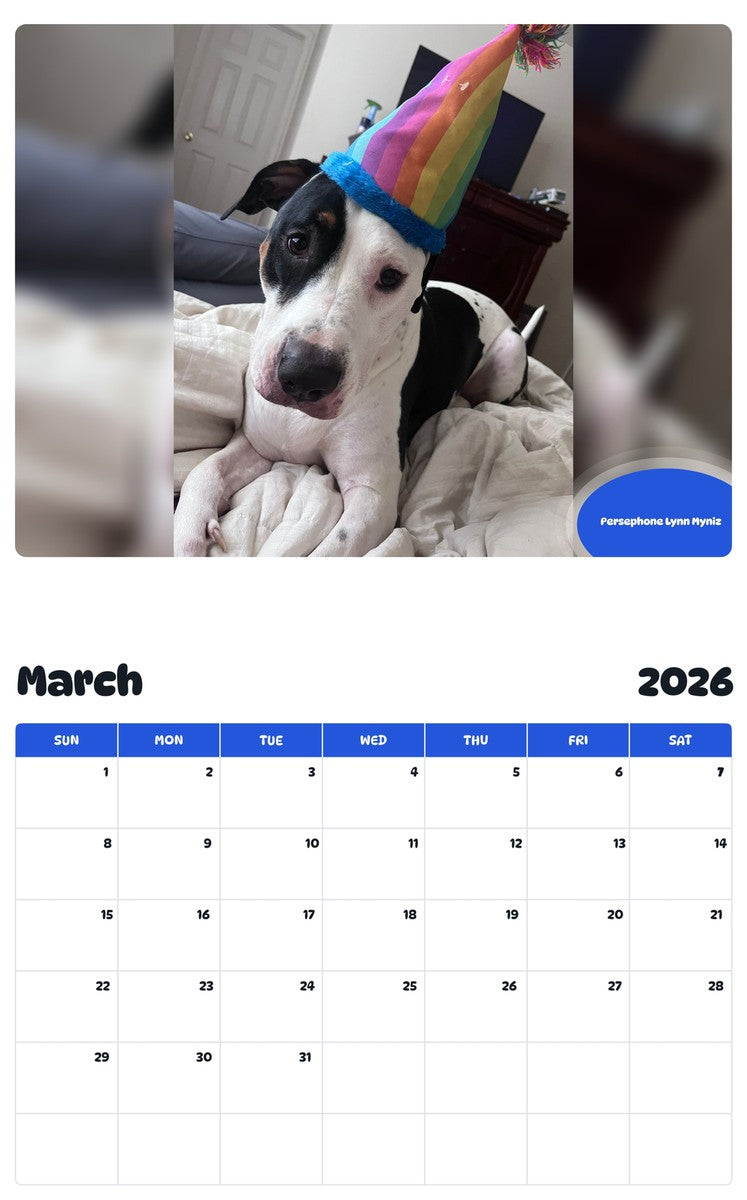 November 2025 - October 2026 Persephone Lynn Myniz - Pawidols Pet Calendar