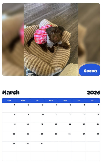 November 2025 - October 2026 Cocoa - Pawidols Pet Calendar