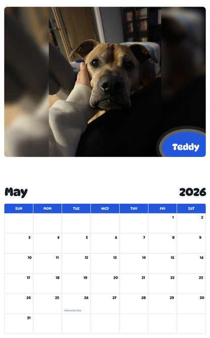 2026 - 2027 Teddy - Pawidols Pet Calendar