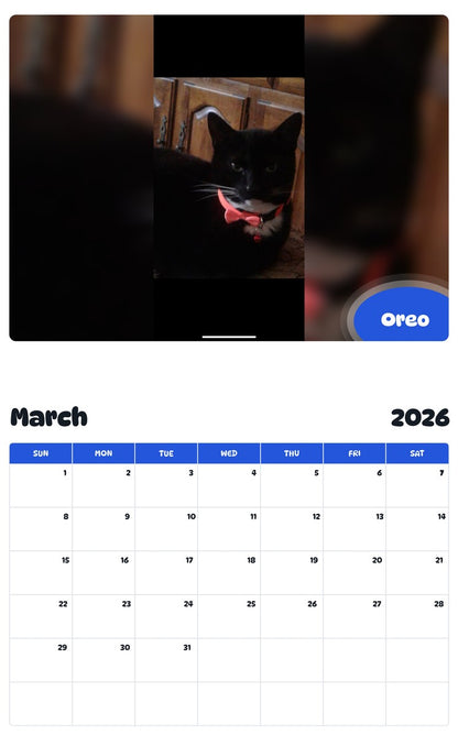 November 2025 - October 2026 Oreo - Pawidols Pet Calendar
