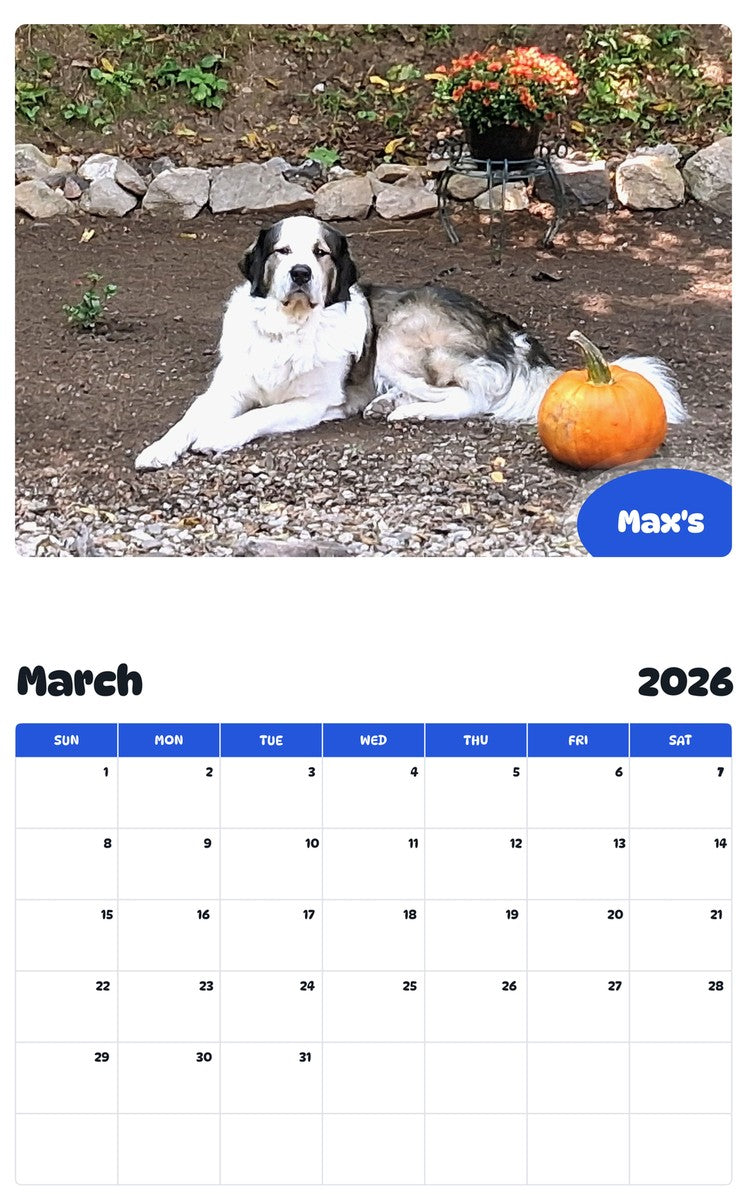November 2025 - October 2026 Max's - Pawidols Pet Calendar