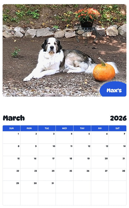 November 2025 - October 2026 Max's - Pawidols Pet Calendar