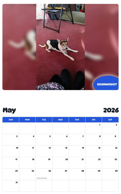 2026 - 2027 CRANNBERRY - Pawidols Pet Calendar