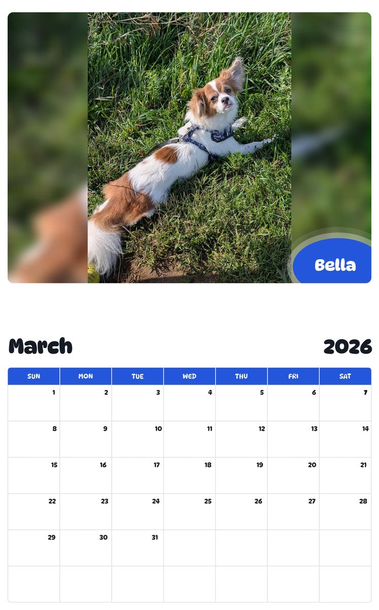 November 2025 - October 2026 Bella - Pawidols Pet Calendar