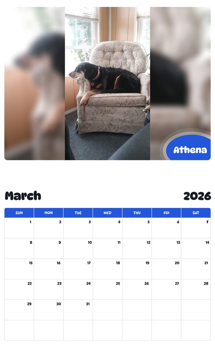 November 2025 - October 2026 Athena - Pawidols Pet Calendar