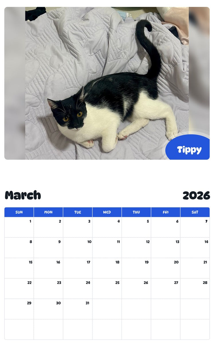 November 2025 - October 2026 Tippy - Pawidols Pet Calendar