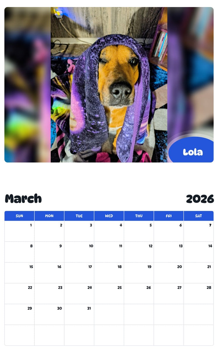 November 2025 - October 2026 Lola - Pawidols Pet Calendar