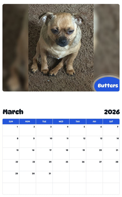 November 2025 - October 2026 Butters - Pawidols Pet Calendar