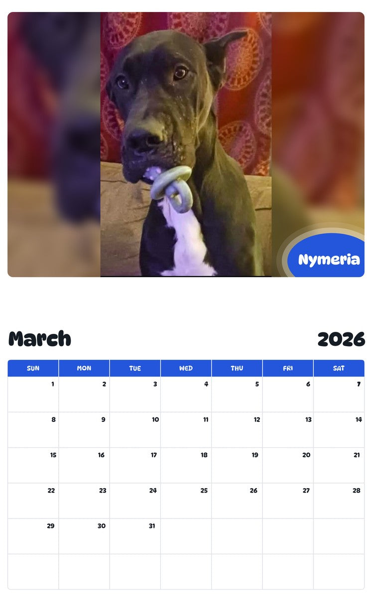 November 2025 - October 2026 Nymeria - Pawidols Pet Calendar