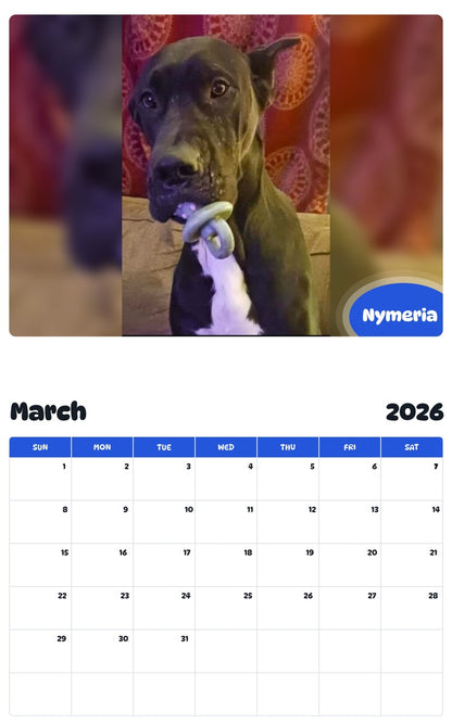 November 2025 - October 2026 Nymeria - Pawidols Pet Calendar