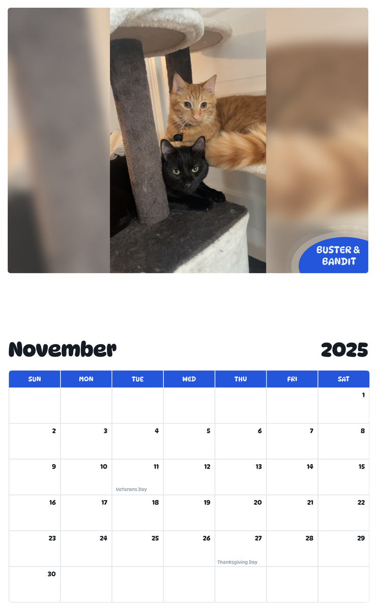 July 2025 - June 2026 Buster & Bandit - Pawidols Pet Calendar