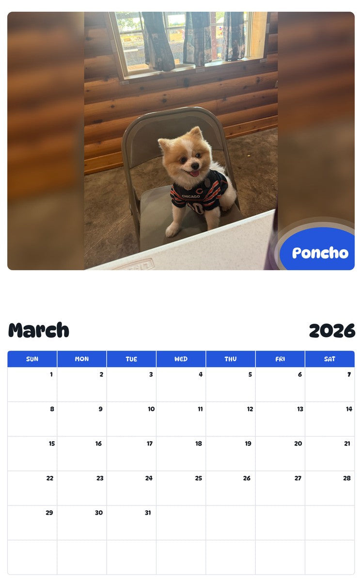 November 2025 - October 2026 Poncho - Pawidols Pet Calendar