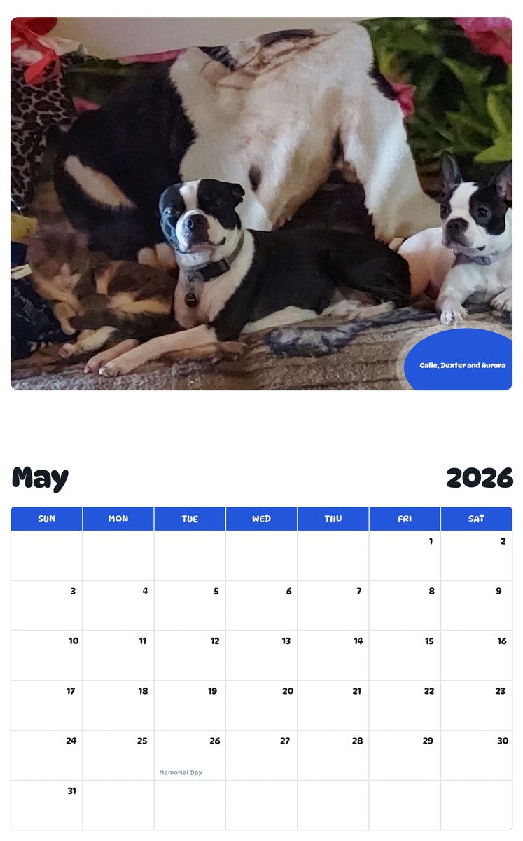 2026 - 2027 Calie, Dexter and Aurora - Pawidols Pet Calendar