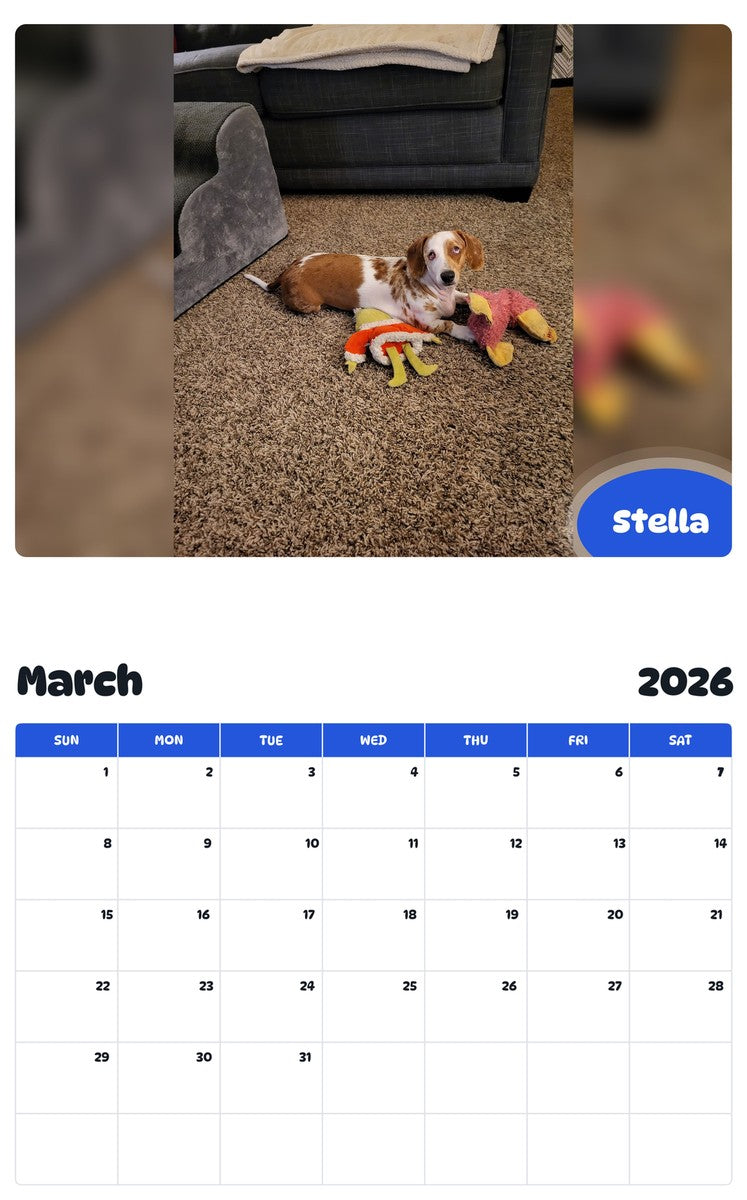 November 2025 - October 2026 Stella - Pawidols Pet Calendar