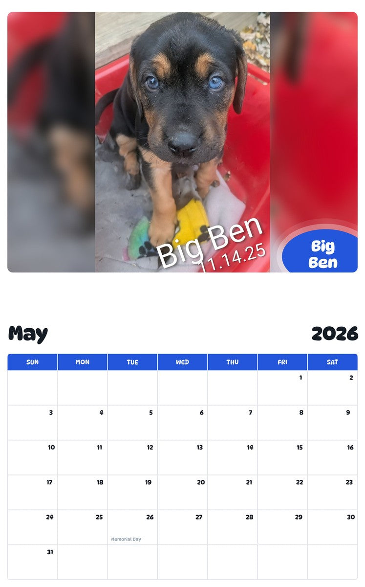 2026 - 2027 Big Ben - Pawidols Pet Calendar
