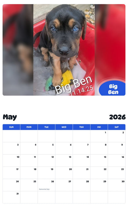 2026 - 2027 Big Ben - Pawidols Pet Calendar