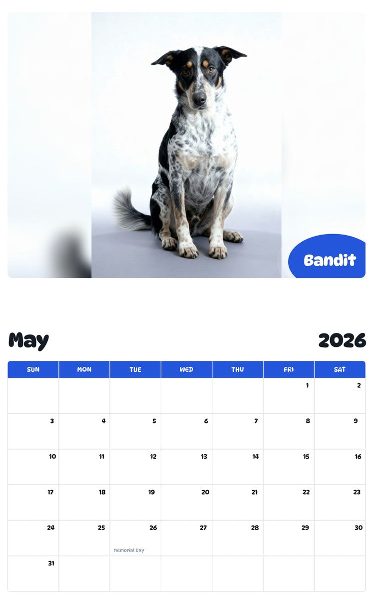 2026 - 2027 Bandit - Pawidols Pet Calendar