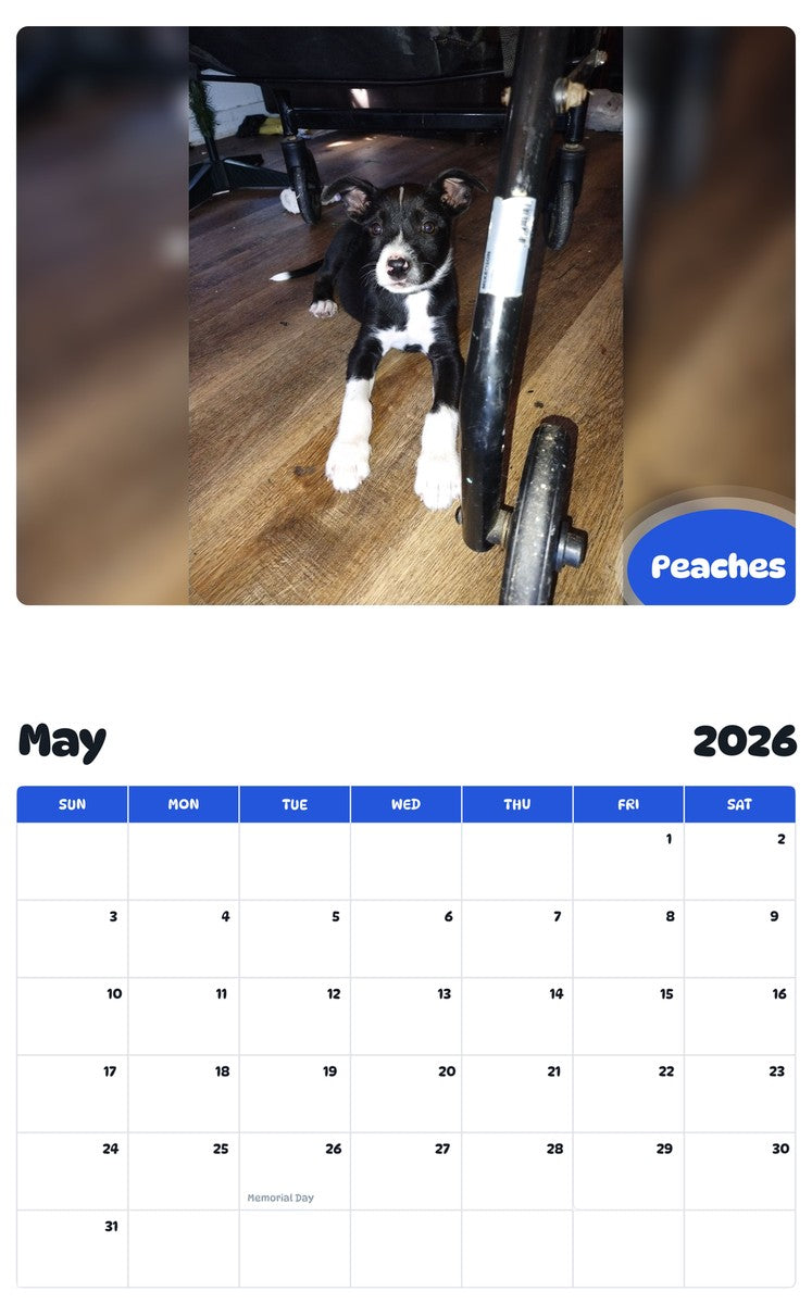 2026 - 2027 Peaches - Pawidols Pet Calendar