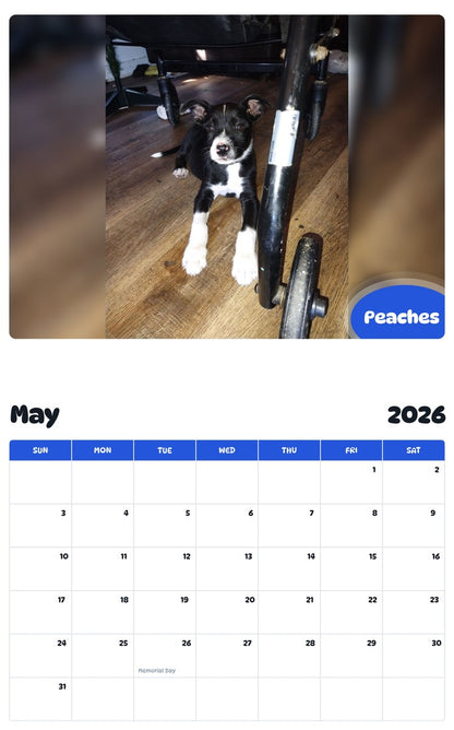 2026 - 2027 Peaches - Pawidols Pet Calendar