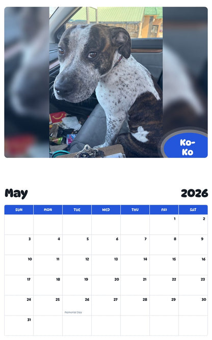2026 - 2027 Ko-Ko - Pawidols Pet Calendar