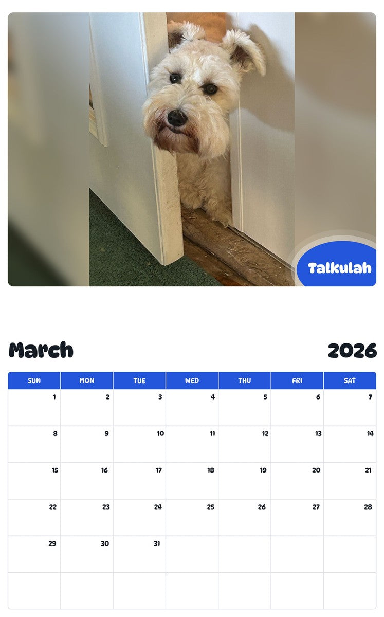 November 2025 - October 2026 Talkulah - Pawidols Pet Calendar