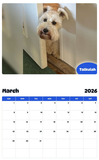 November 2025 - October 2026 Talkulah - Pawidols Pet Calendar