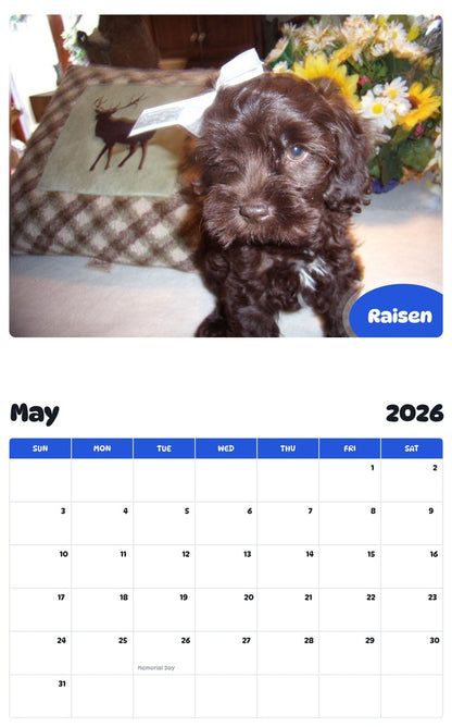 2026 - 2027 Raisen - Pawidols Pet Calendar
