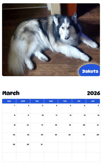 November 2025 - October 2026 Dakota - Pawidols Pet Calendar