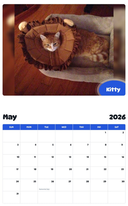 2026 - 2027 Kitty - Pawidols Pet Calendar