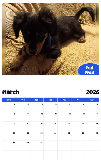November 2025 - October 2026 Ted Fred - Pawidols Pet Calendar