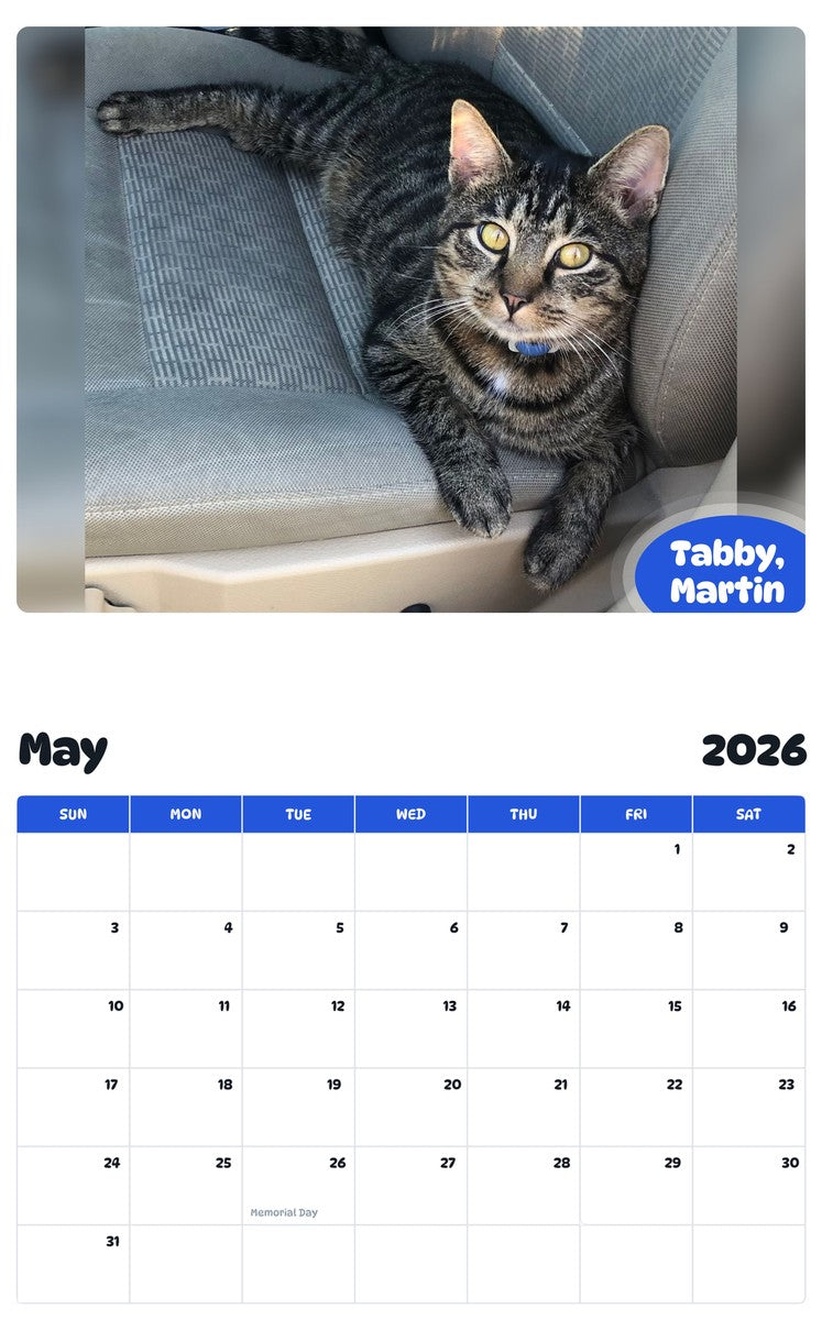 2026 - 2027 Tabby, Martin - Pawidols Pet Calendar
