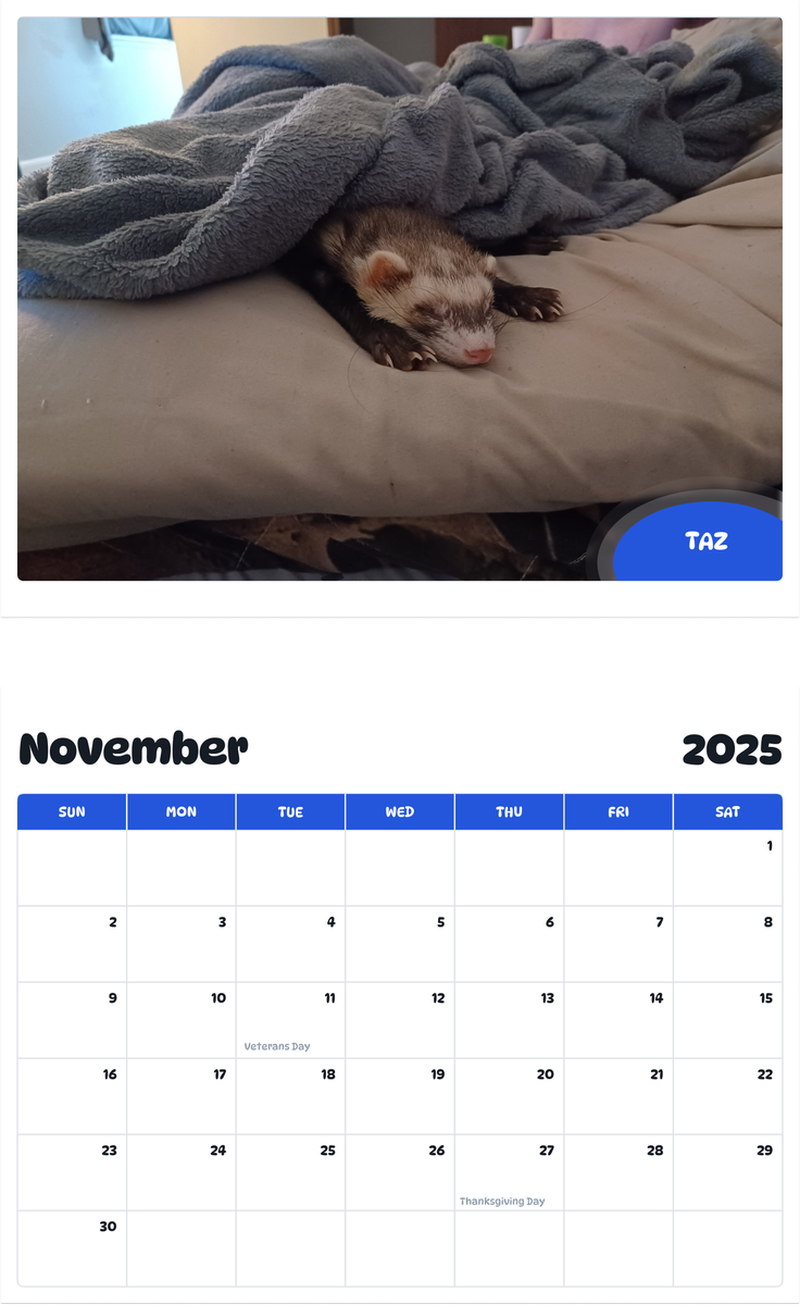 July 2025 - June 2026 Taz - Pawidols Pet Calendar