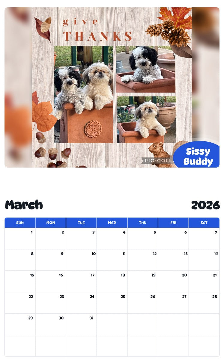 November 2025 - October 2026 Sissy   Buddy - Pawidols Pet Calendar