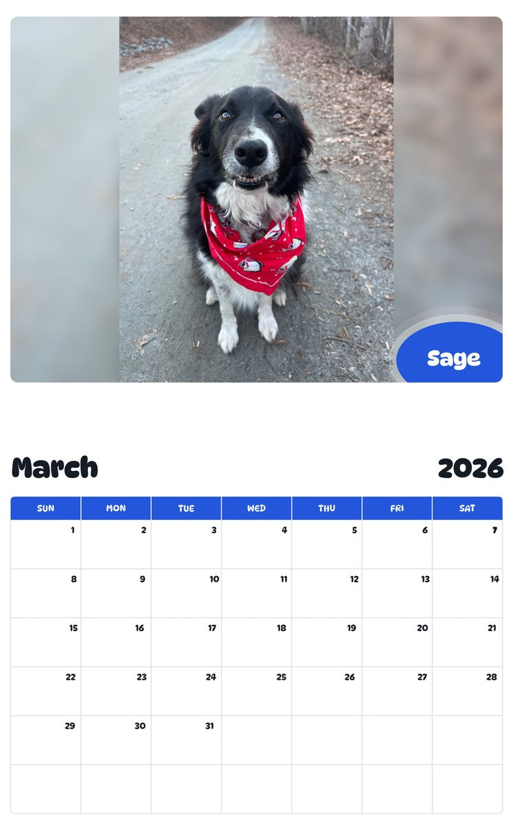 November 2025 - October 2026 Sage - Pawidols Pet Calendar