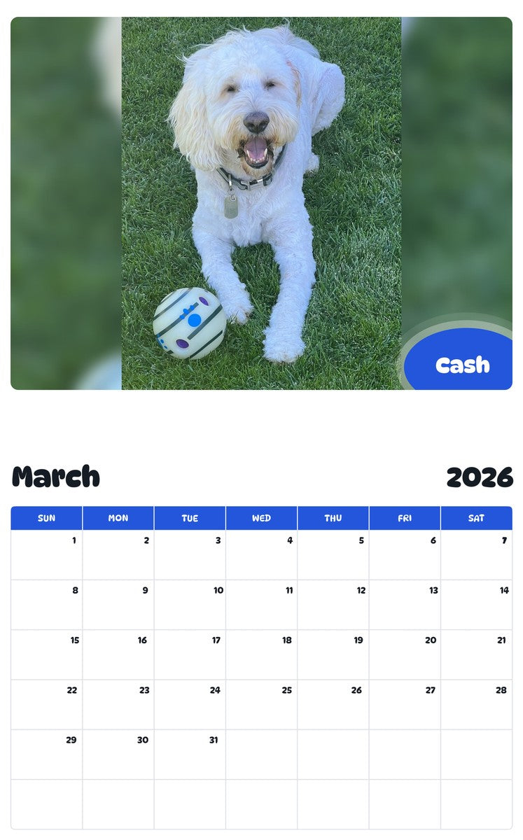 November 2025 - October 2026 Cash - Pawidols Pet Calendar