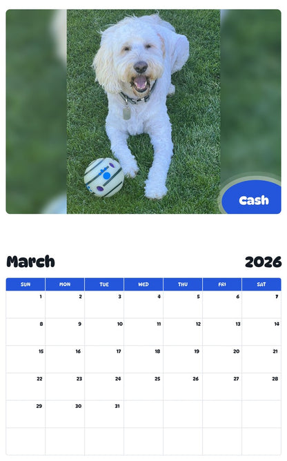 November 2025 - October 2026 Cash - Pawidols Pet Calendar