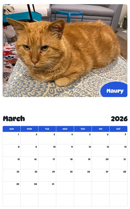 November 2025 - October 2026 Maury - Pawidols Pet Calendar