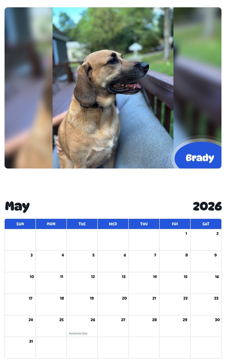 2026 - 2027 Brady - Pawidols Pet Calendar