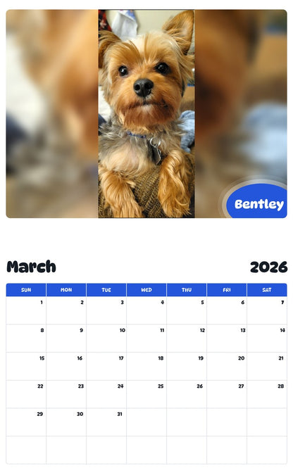 November 2025 - October 2026 Bentley - Pawidols Pet Calendar