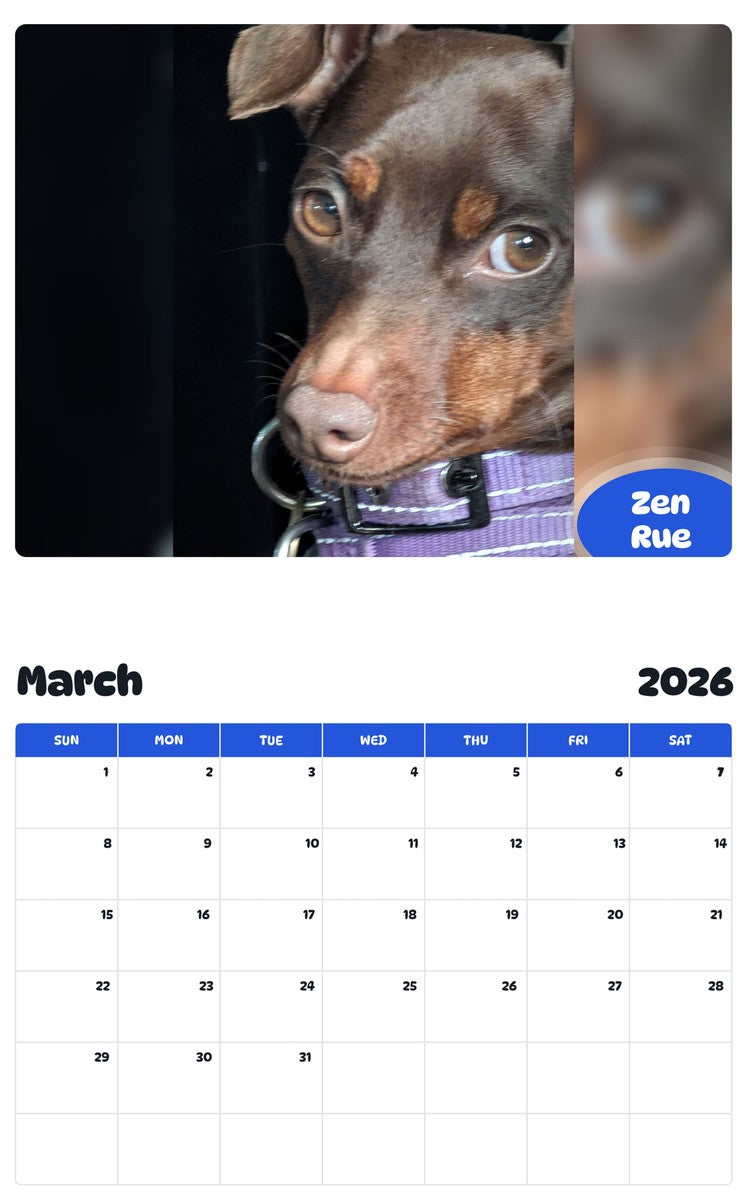 November 2025 - October 2026 Zen Rue - Pawidols Pet Calendar