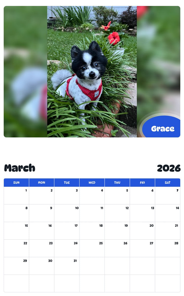 November 2025 - October 2026 Grace - Pawidols Pet Calendar