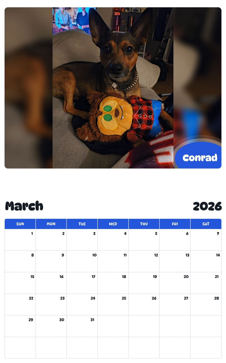 November 2025 - October 2026 Conrad - Pawidols Pet Calendar