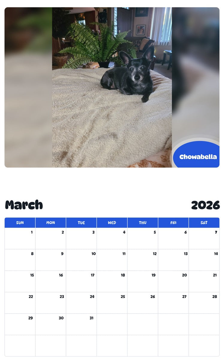 November 2025 - October 2026 Chowabella - Pawidols Pet Calendar